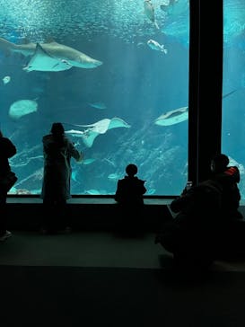 マリンワールド海の中道に投稿された画像（2023/1/29）