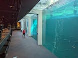 環境水族館アクアマリンふくしまに投稿された画像（2023/1/29）