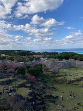 今帰仁城跡に投稿された画像（2023/1/29）