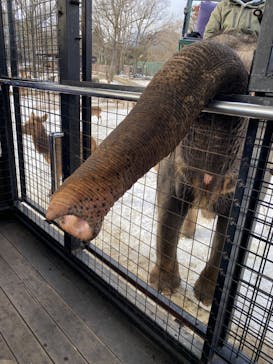 那須サファリパークに投稿された画像（2023/1/29）