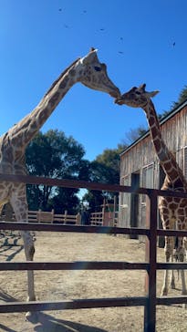 東武動物公園に投稿された画像（2023/1/29）