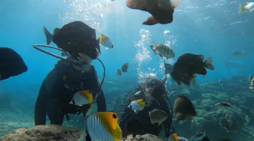 武藤潜水に投稿された画像（2023/1/29）