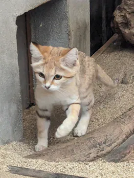 神戸どうぶつ王国に投稿された画像（2023/1/29）