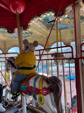 日本モンキーパークに投稿された画像（2023/1/29）