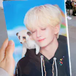 『D'FESTA OSAKA』（⼤阪南港ATC特設会場 ITM棟 4F）に投稿された画像（2023/1/29）