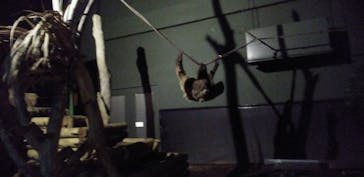 カワスイ 川崎⽔族館に投稿された画像（2023/1/29）