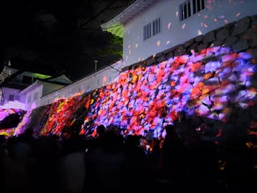 福山城400年博-FUKUYAMA CASTLE EXPO 2022- RCC開局70年 「チームラボ 福山城 光の祭」に投稿された画像（2023/1/29）