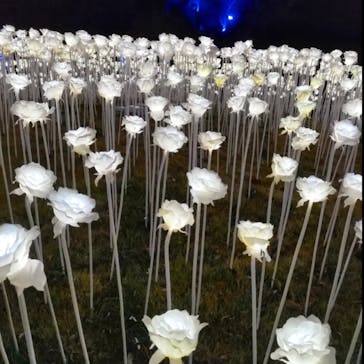 みろくの里に投稿された画像（2022/12/18）