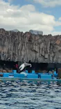 名古屋港水族館に投稿された画像（2023/1/29）