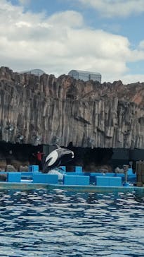 名古屋港水族館に投稿された画像（2023/1/29）