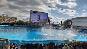 名古屋港水族館に投稿された画像（2023/1/29）