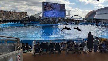 名古屋港水族館に投稿された画像（2023/1/29）