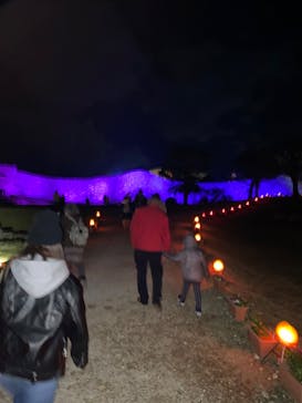 今帰仁城跡に投稿された画像（2023/1/29）