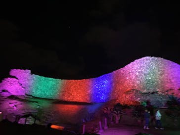 今帰仁城跡に投稿された画像（2023/1/29）