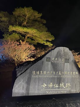 今帰仁城跡に投稿された画像（2023/1/29）