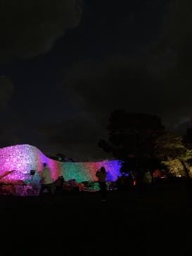 今帰仁城跡に投稿された画像（2023/1/29）