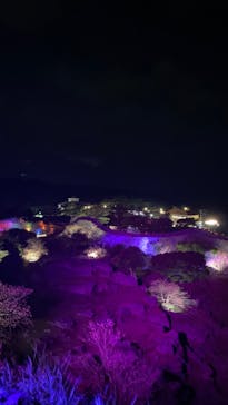 今帰仁城跡に投稿された画像（2023/1/29）