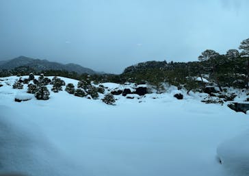 足立美術館に投稿された画像（2023/1/29）