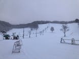水上高原 藤原スキー場に投稿された画像（2023/1/29）