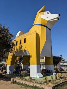 つくばわんわんランドに投稿された画像（2023/1/29）