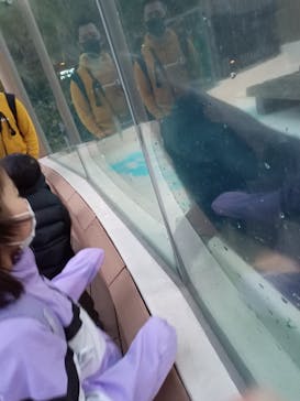 サンシャイン水族館に投稿された画像（2023/1/29）