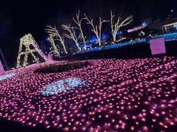 大阪府立花の文化園に投稿された画像（2023/1/29）