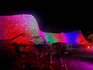 今帰仁城跡に投稿された画像（2023/1/29）