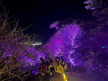 今帰仁城跡に投稿された画像（2023/1/29）