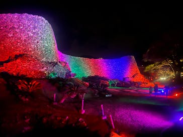 今帰仁城跡に投稿された画像（2023/1/29）