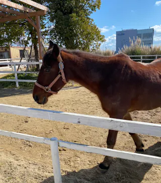 神戸どうぶつ王国に投稿された画像（2023/1/29）