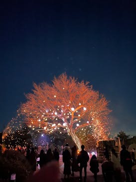 西武園ゆうえんちに投稿された画像（2023/1/29）