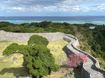 今帰仁城跡に投稿された画像（2023/1/29）