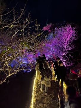 今帰仁城跡に投稿された画像（2023/1/29）