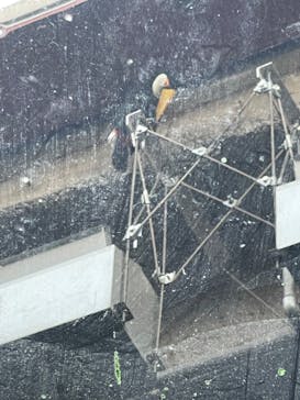 カワスイ 川崎⽔族館に投稿された画像（2023/1/29）