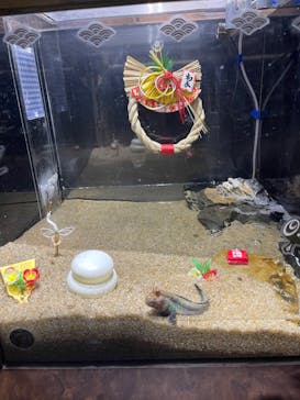 カワスイ 川崎⽔族館に投稿された画像（2023/1/29）