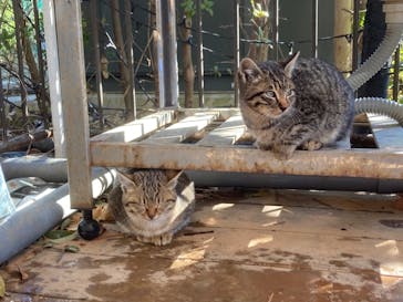 NESTA RESORT KOBE（ネスタリゾート神戸）に投稿された画像（2023/1/29）