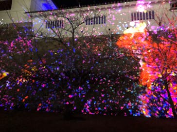 福山城400年博-FUKUYAMA CASTLE EXPO 2022- RCC開局70年 「チームラボ 福山城 光の祭」に投稿された画像（2023/1/29）