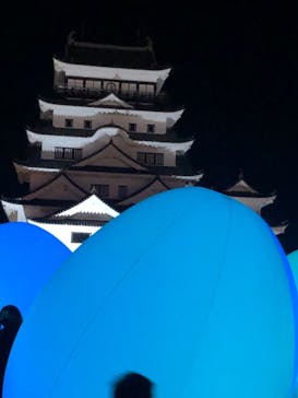 福山城400年博-FUKUYAMA CASTLE EXPO 2022- RCC開局70年 「チームラボ 福山城 光の祭」に投稿された画像（2023/1/29）