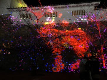 福山城400年博-FUKUYAMA CASTLE EXPO 2022- RCC開局70年 「チームラボ 福山城 光の祭」に投稿された画像（2023/1/29）