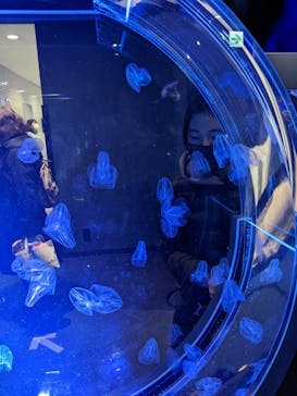 名古屋港水族館に投稿された画像（2023/1/29）