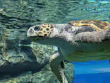 名古屋港水族館に投稿された画像（2023/1/30）