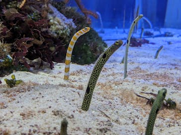 名古屋港水族館に投稿された画像（2023/1/29）