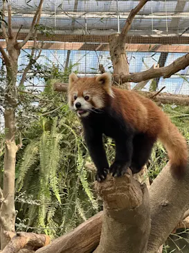 神戸どうぶつ王国に投稿された画像（2023/1/29）