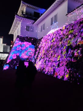 福山城400年博-FUKUYAMA CASTLE EXPO 2022- RCC開局70年 「チームラボ 福山城 光の祭」に投稿された画像（2023/1/30）