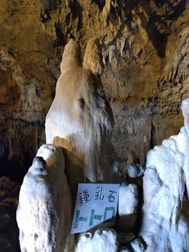 石垣島鍾乳洞に投稿された画像（2023/1/30）