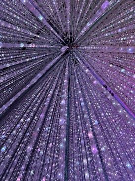 チームラボプラネッツ TOKYO DMMに投稿された画像（2023/1/30）