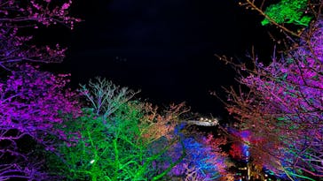 今帰仁城跡に投稿された画像（2023/1/30）