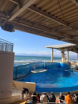 新江ノ島水族館に投稿された画像（2023/1/30）