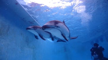 ハンマーズアカデミーに投稿された画像（2023/1/29）