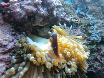 武藤潜水に投稿された画像（2023/1/30）